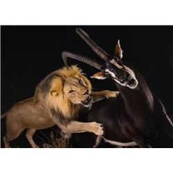$1,000.00 Taxidermy Credit