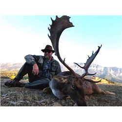 Spanish Hunt with Trophy Fee Credit for Ibex, Mouflon or Fallow
