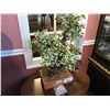 Image 1 : FAUX BONZAI TREE