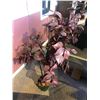 Image 3 : ASSORTED DECOR INC. FAUX PLANTS, LAMP AND WALL ART
