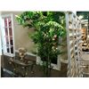 Image 2 : 3 FAUX PLANTS INC. PALM TREE, BAMBOO, AND SMALL ARRANGEMENT