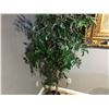 Image 2 : 3 FAUX PLANTS INC. ORCHID AND 2 FICUS