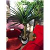 Image 1 : APPROX. 5.5' DECORATIVE POTTED PALM TREE