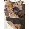 Image 2 : Rare Brazilian Super Seven Crystal Specimen