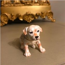 Adorable Little Labrador Retriever Puppy Jewel Trinket Box