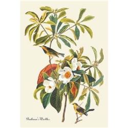 c1946 Audubon Print, #185 Backman's Warbler