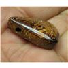 Image 2 : 48cts Drilled Boulder Matrix Opal