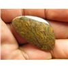 Image 2 : 40cts Boulder Matrix Opal