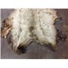 Image 2 : Large Elk Hide