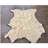 Image 4 : Large Elk Hide