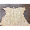 Image 6 : Large Elk Hide