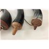 Image 15 : Group of Powder Horns