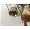 Image 17 : Group of Powder Horns