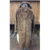 Image 5 : Early 1900s Buffalo Coat