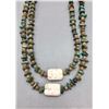 Image 1 : Turquoise Nugget, Jasper and Wild Horse Bead Necklace