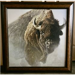 Robert Bateman Buffalo Canvas Print