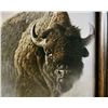 Image 3 : Robert Bateman Buffalo Canvas Print