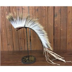 Plains Hair Roach