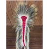 Image 3 : Plains Hair Roach