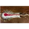 Image 9 : Plains Hair Roach