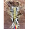 Image 3 : Plains Hair Roach
