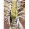 Image 5 : Plains Hair Roach
