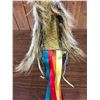 Image 6 : Plains Hair Roach