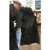 Image 2 : Old Buffalo Coat