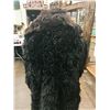 Image 6 : Old Buffalo Coat