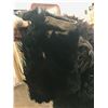 Image 7 : Old Buffalo Coat