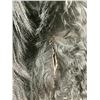 Image 8 : Old Buffalo Coat