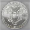 Image 2 : 2005 AMERICAN SILVER EAGLE