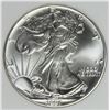 Image 1 : 1991 AMERICAN SILVER EAGLE