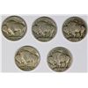 Image 2 : BUFFALO NICKEL LOT: