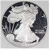 Image 1 : 2004-W AMERICAN SILVER EAGLE