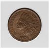 Image 1 : 1876 INDIAN CENT
