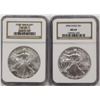 Image 1 : 2002 AND 2004 AMERICAN SILVER EAGLES