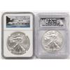 Image 1 : 2015 AND 2013 AMERICAN SILVER EAGLES