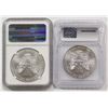 Image 2 : 2015 AND 2013 AMERICAN SILVER EAGLES