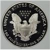 Image 2 : 1995 AMERICAN SILVER EAGLE