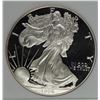 Image 1 : 1996 AMERICAN SILVER EAGLE