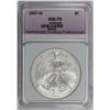Image 3 : 2007-W AMERICAN SILVER EAGLE
