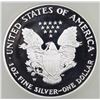 Image 2 : 2007-W AMERICAN SILVER EAGLE