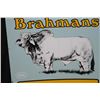 Image 2 : PORCELAIN BRAHMANS COW CATTLE LIVESTOCK SIGN