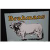 Image 5 : PORCELAIN BRAHMANS COW CATTLE LIVESTOCK SIGN