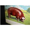 Image 3 : DUROC HOG PIG LIVESTOCK FARM SIGN