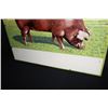 Image 6 : DUROC HOG PIG LIVESTOCK FARM SIGN