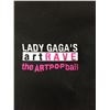 Image 2 : Lady Gaga Concert Swag Lot