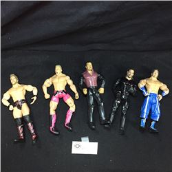 Lot of 7" Tall Wrestling Figures