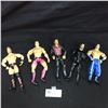 Image 1 : Lot of 7" Tall Wrestling Figures